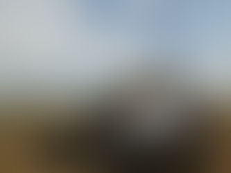 Dear Chayal, Thank You!