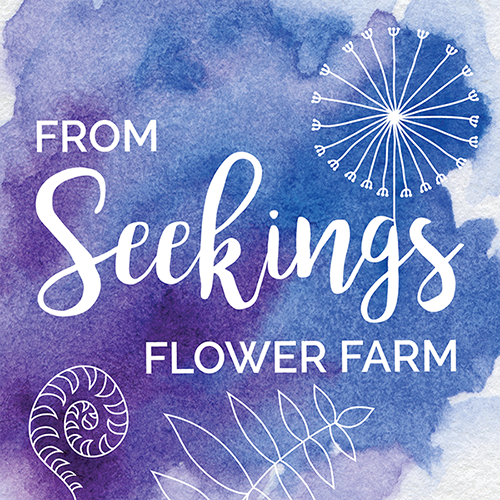 Writer: fromseekingsflowerfarm