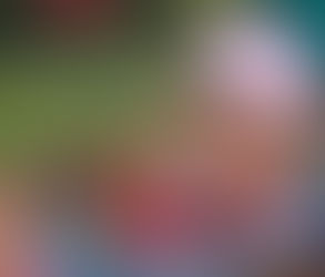 Corrí Mi Primera Media Maratón… y Me Cambió Más de lo Que Imaginé