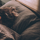 Cómo dormir mejor usando meditación guiada