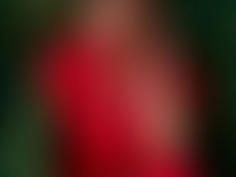 19 de julio: Mi cumpleaños y renacimiento – El arte de elegirme, una y otra vez