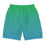 Thumbnail: The Robin Rodeo OC Shorts in Blue and Green Gradient - Monogram