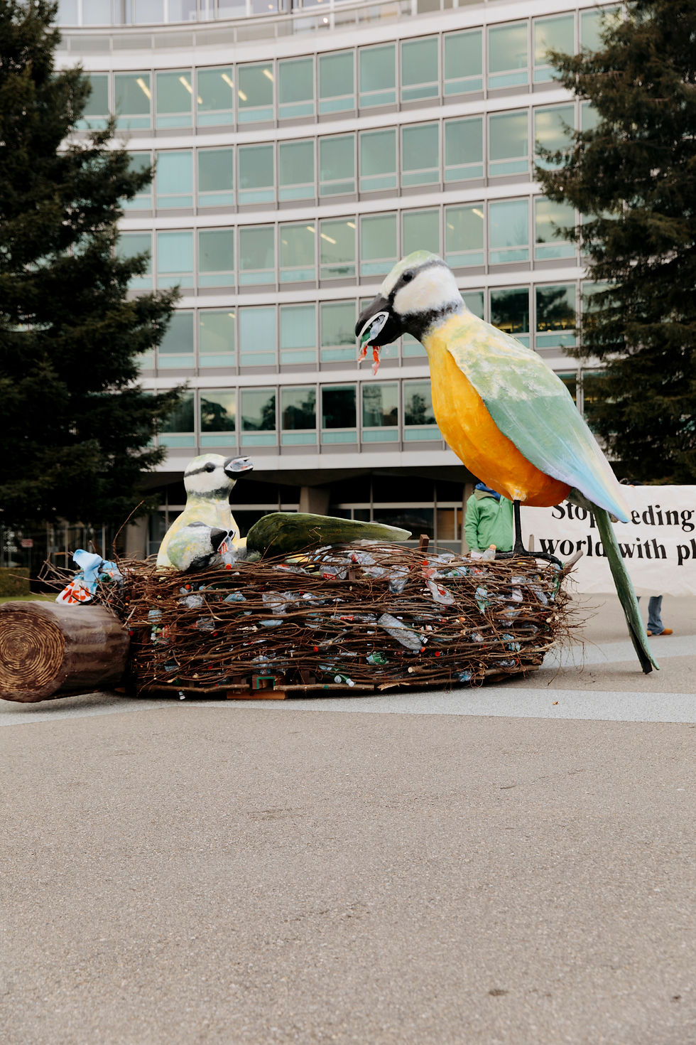 Greenpeace_3