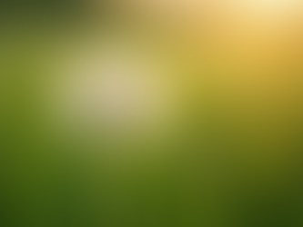 Discover Edible Plants with Wild Bite App