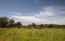 Ol Donyo 18-12.jpg