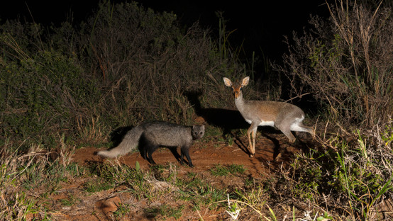 01 Laikipia 2021 (25).jpg