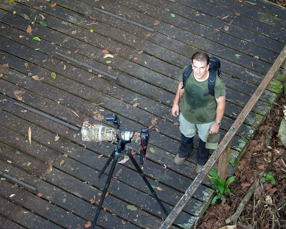The Canon days: August 2015, Danum Valley, Malaysian Borneo