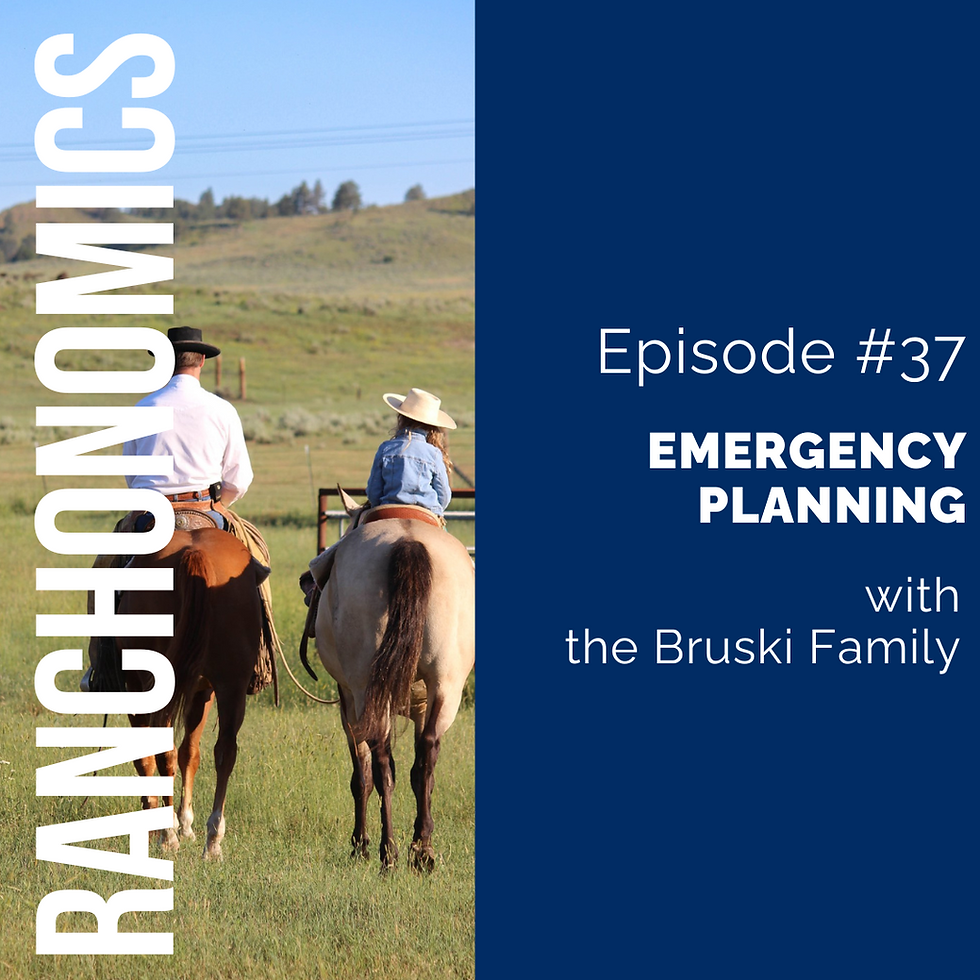 thumbnail graphic for Emergency Planning with the Bruski Family [episode 37]