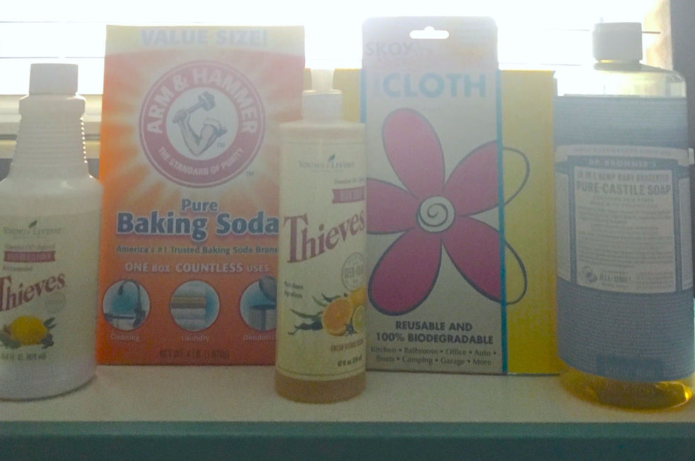 Heather Bahorich's Recommended Products: Skoy, Arm & Hammer, Thieves, Dr. Bronner's
