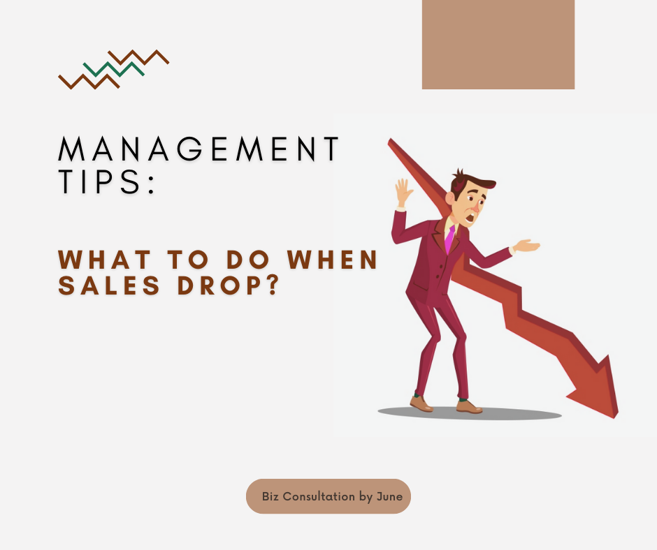 Business management consultant, management consultant, business consultant in Cambodia, consultant for SMEs, consultant for corporates, consultant for startups