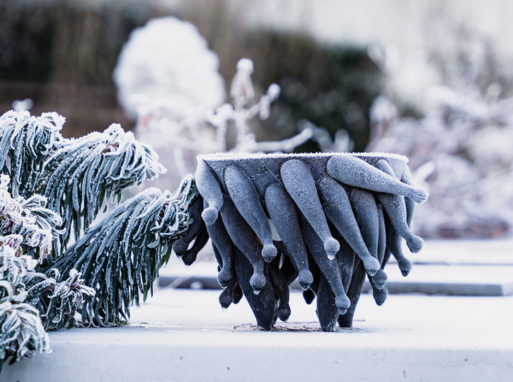 Handgefertigte Porzellan Skulpturen von Margit Denz.