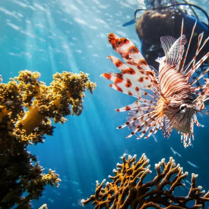 Attractions & Activities.jpg