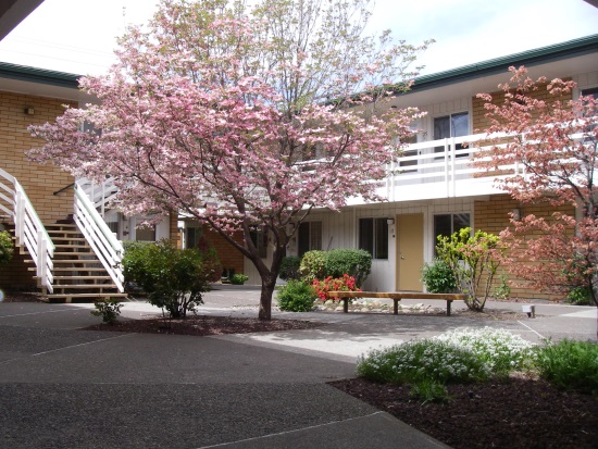 Mike Foye Apartments