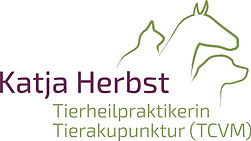 THP Katja Herbst_mit Akupunktur.jpg