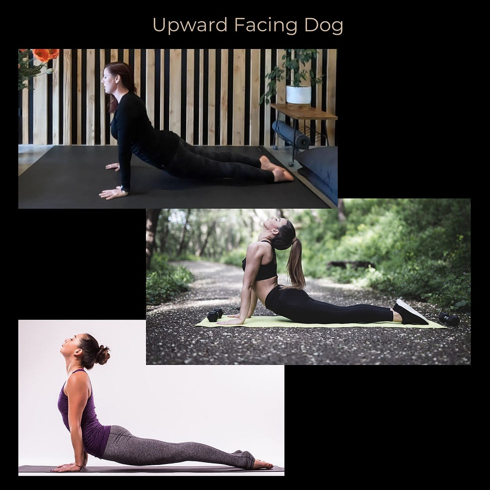 Upward facing dog yoga posture alignment variations