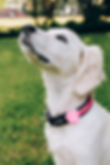 image3.jpeg