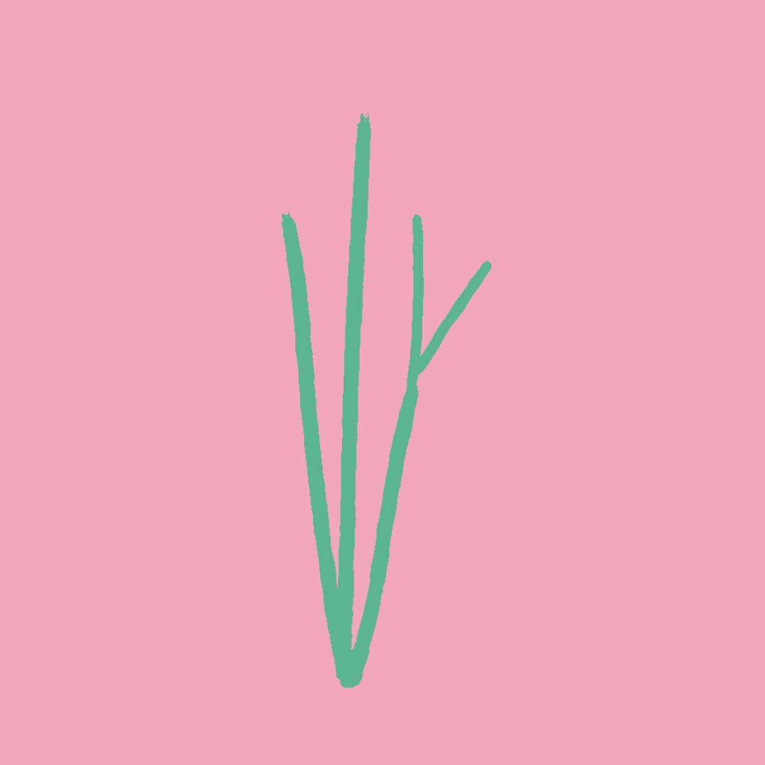 animated flower