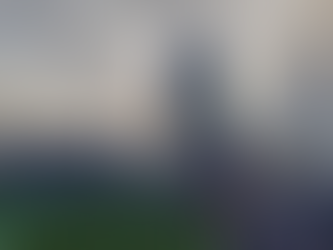 次回第18回口頭弁論は来年2月2日