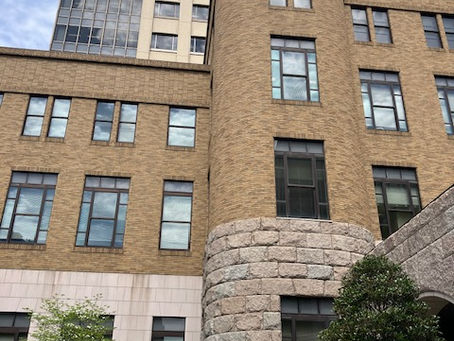 次回 第20回口頭弁論は 6月29日