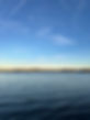 IMG_2165.jpeg