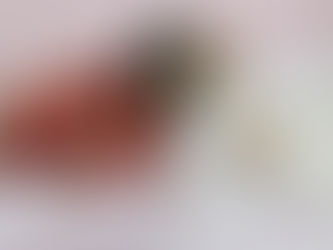 Amigas desde pequenas, Bruna Marquezine e Sasha fazem nova collab para C&A