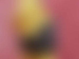 Bolsa-luva da Prada é uma resposta à pós-pandemia