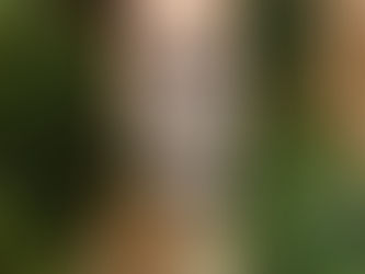 Confira: PatBO desfila coleção de verão 2022 em Nova York