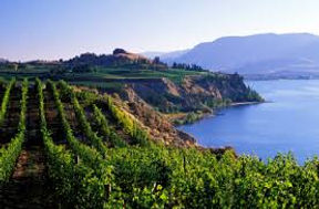 penticton 3.jpeg