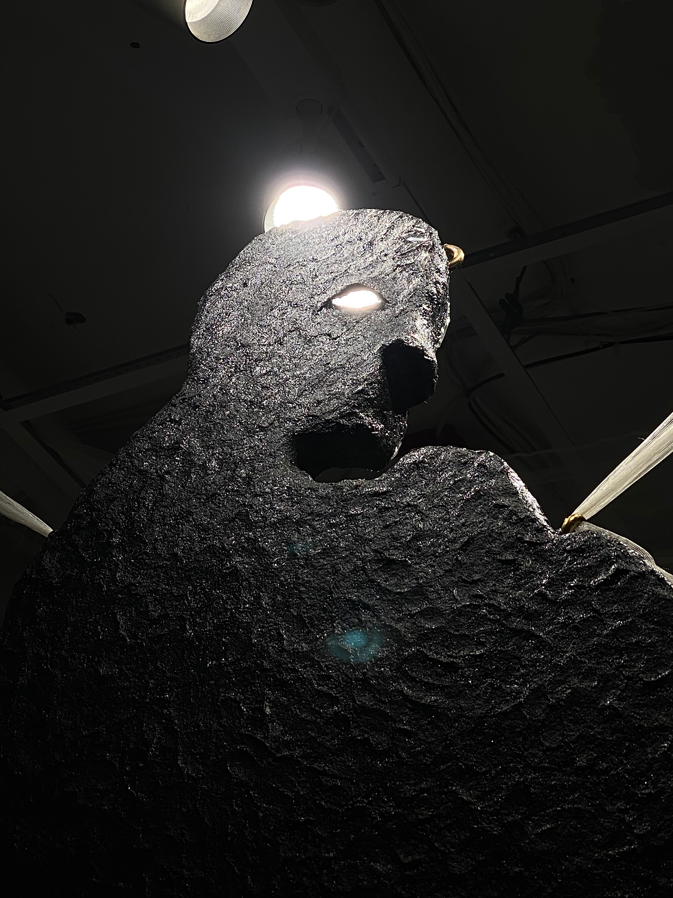 Thumbnail: the shadow is the best