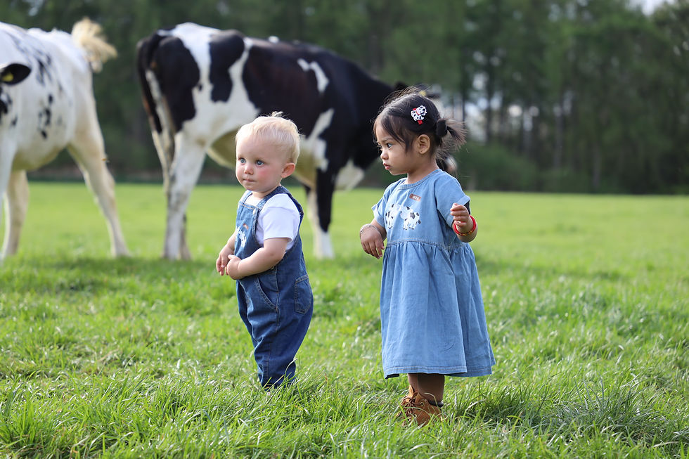 Thumbnail: William Denim Dungarees - Moo