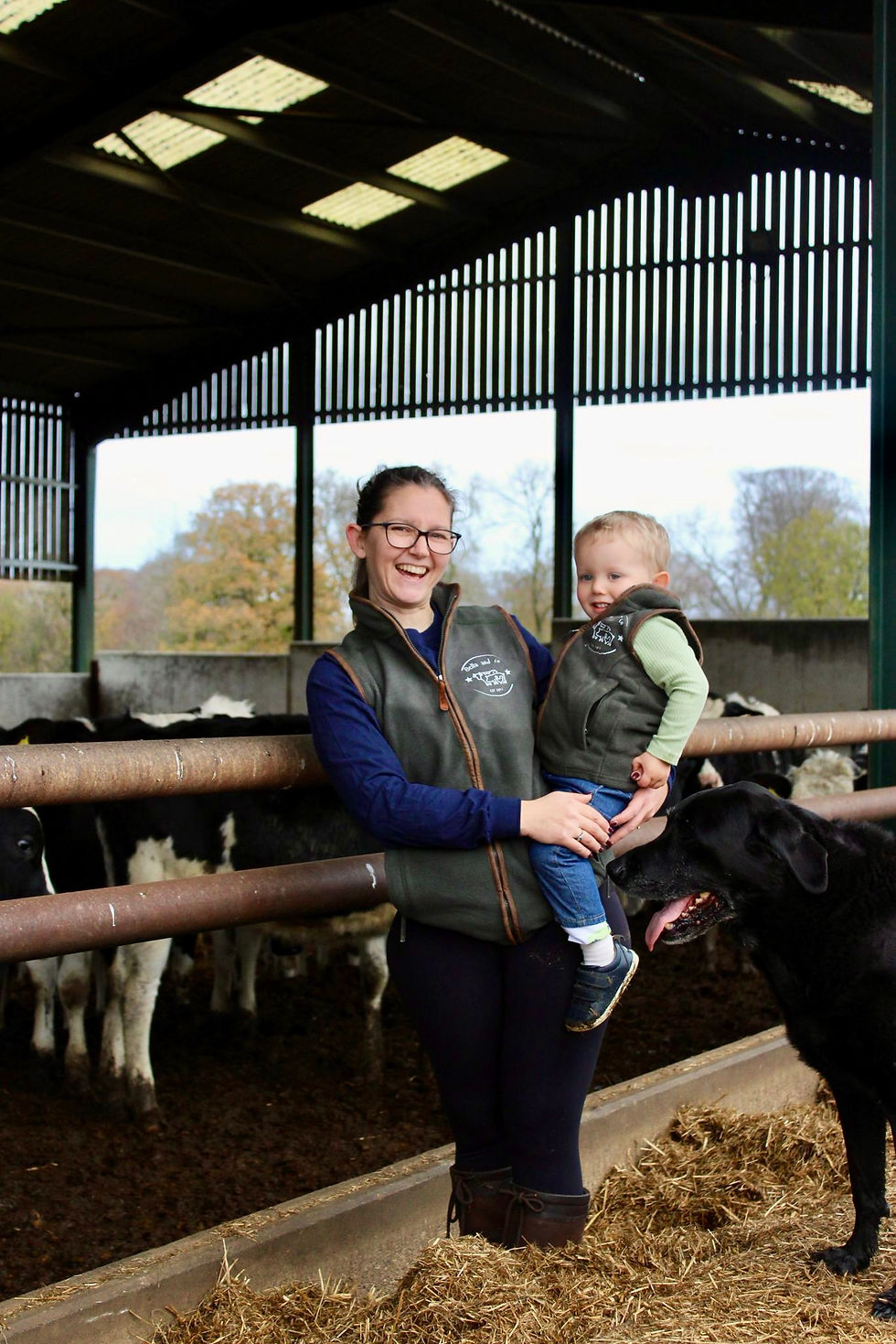 Adult gilet - Bella & Co (Green) 