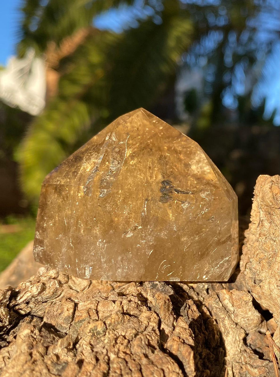 Miniaturbild: Citrin Spitze N14