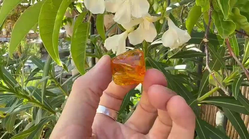 Miniaturbild: Bernstein