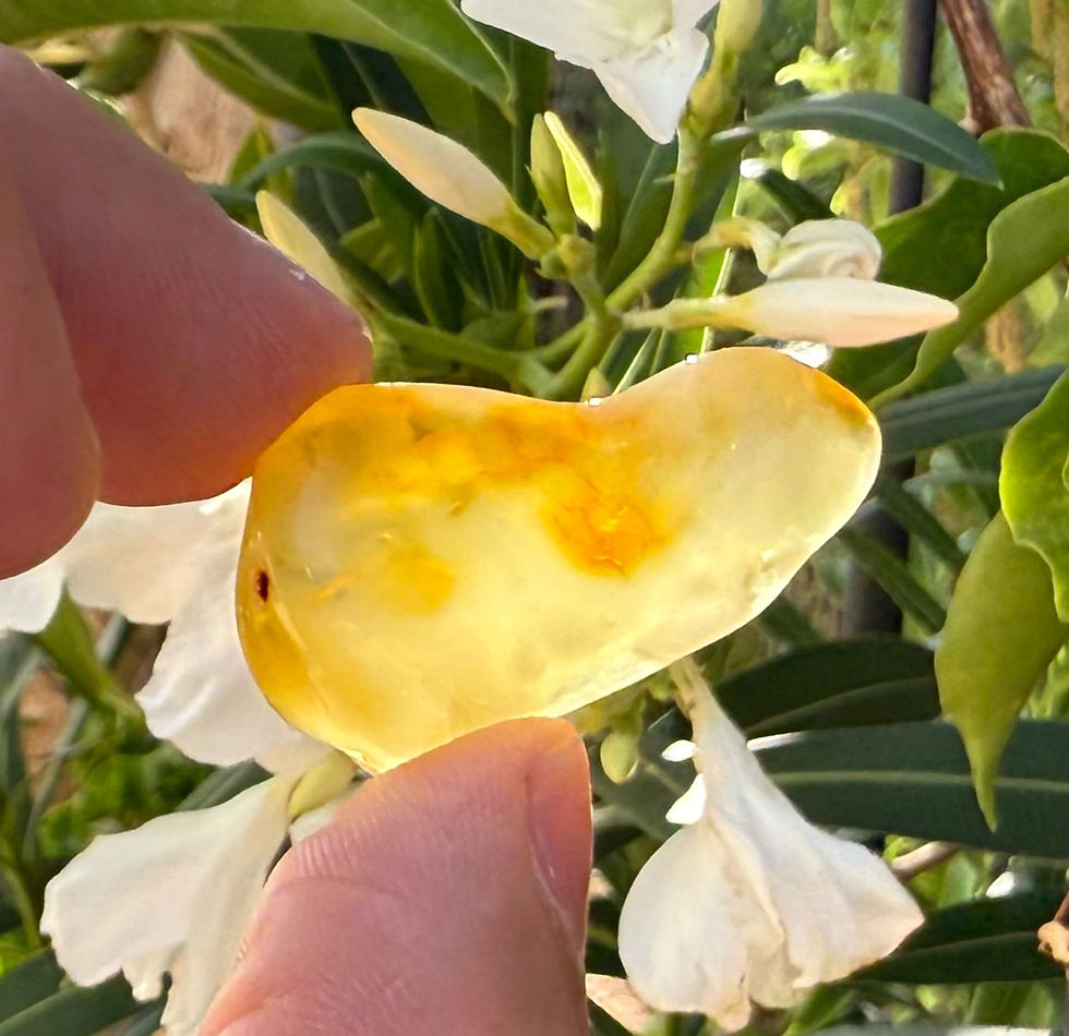 Miniaturbild: Bernstein 2