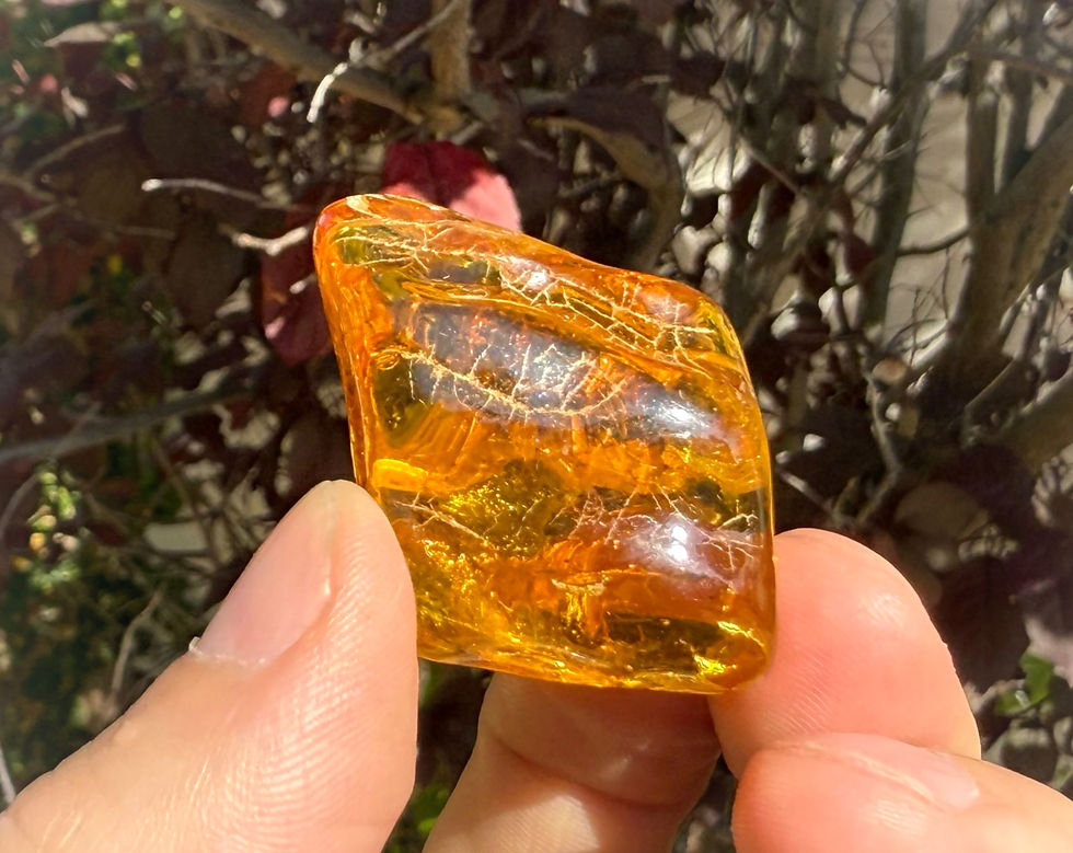 Miniaturbild: Bernstein