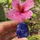 Miniaturbild: Lapis Lazuli 2