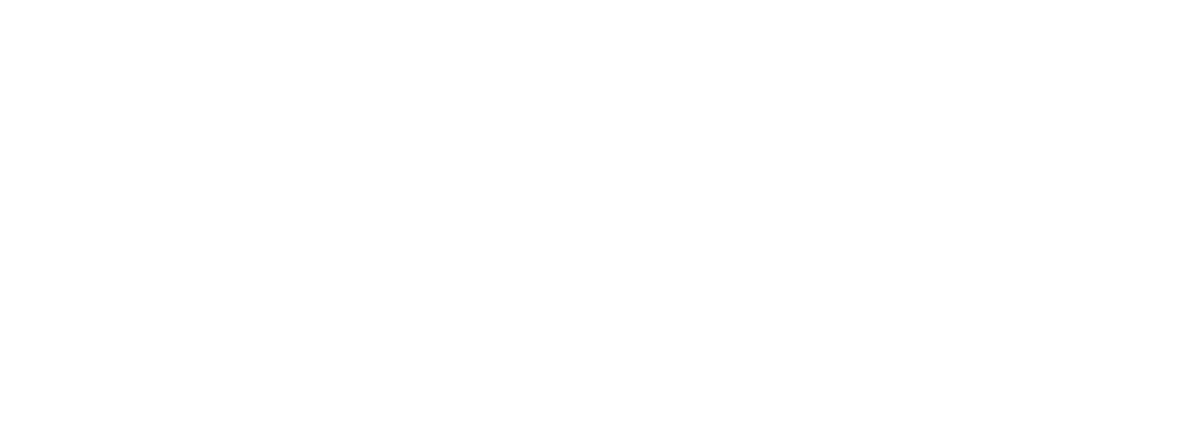 Stayvo Logo.png