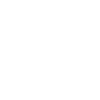 icons8-quality-100.png