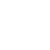 icons8-award-100 (1).png