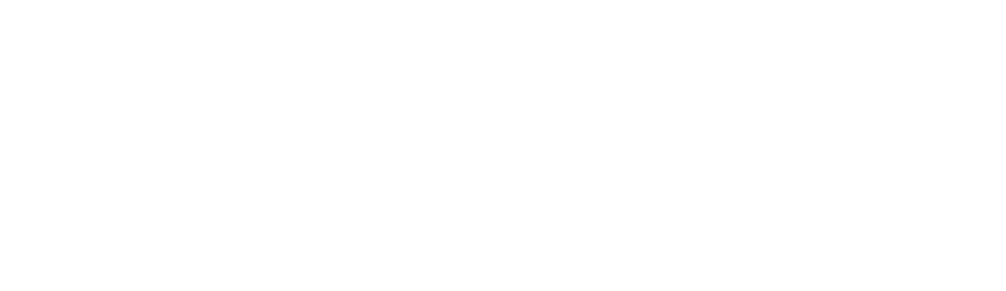 Elevora Logo White.png