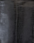 Wolf & Dove Branding Studio