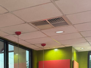 Pelican Striping Ceiling Tike