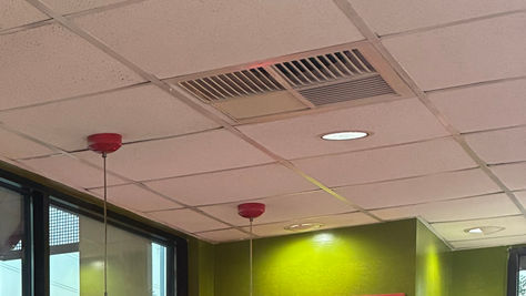 Pelican Striping Ceiling Tike