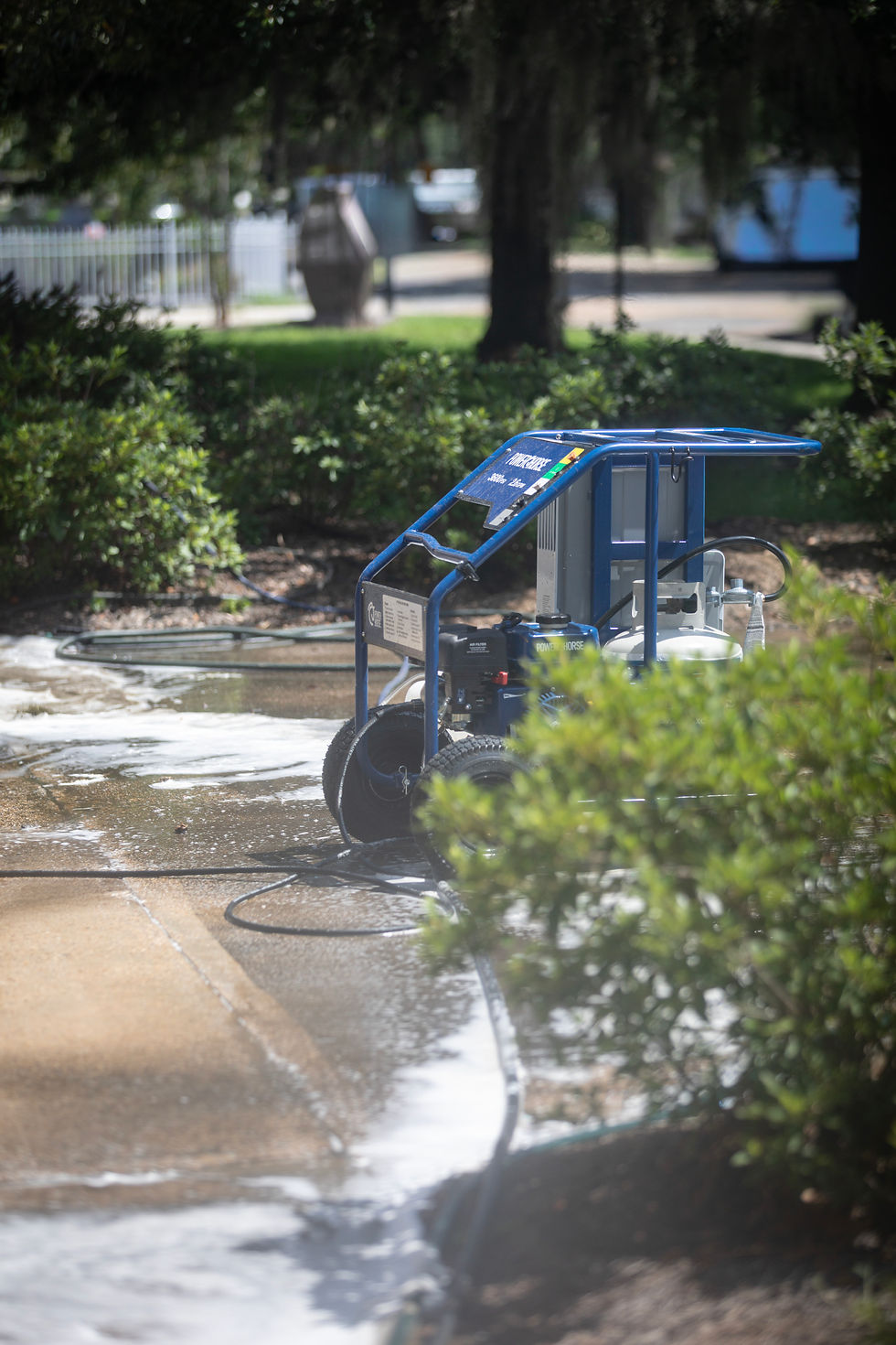 Pelican Striping Pressure Washer