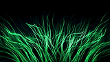 chrissyp0000_httpss.mj.run_crAVSi-WhQ_A_bunch_of_neon_green_c_2564679a-2331-4dd3-86b1-8017