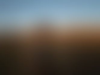 THE POWER OF THE DOG