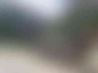 Enfin sortis de la vallée de Spiti