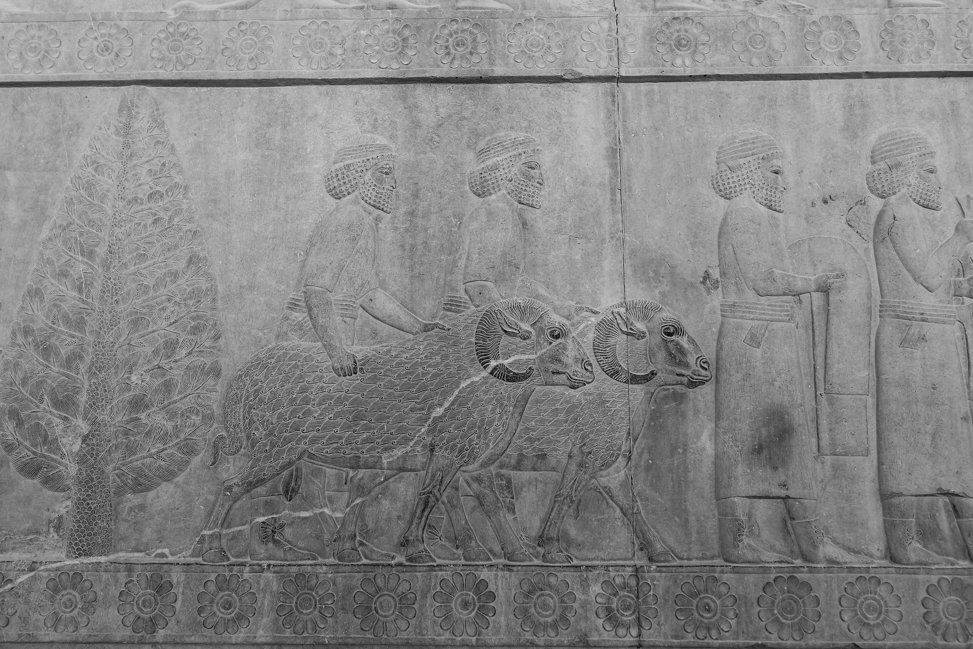 Persepolis
