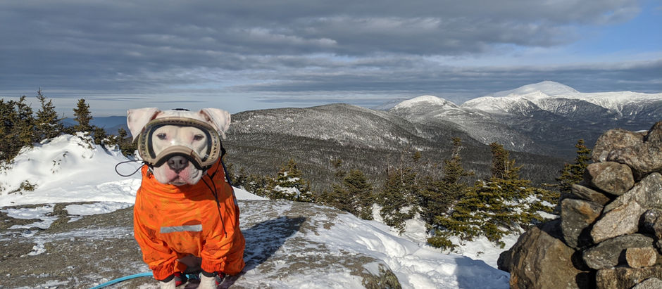 Gear List: Winter Hiking with Your Pup