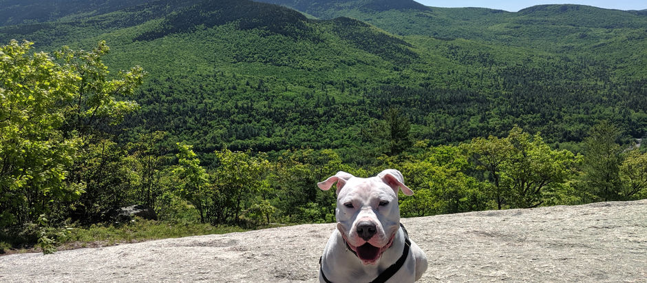 Welch-Dickey: The Perfect Lazy Morning Hike
